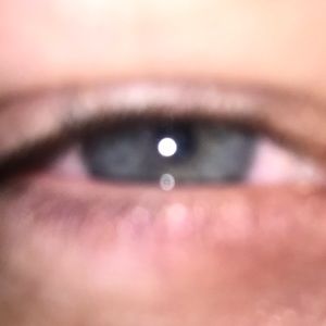 Meet your Posher, Brody